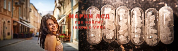 ГАЛЛЮЦИНОГЕННЫЕ ГРИБЫ Лабытнанги