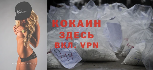 дживик Лагань