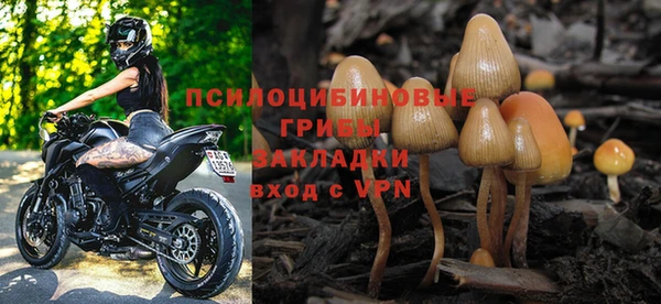 мет Ладушкин