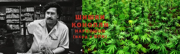 дживик Лагань