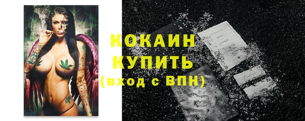 дживик Лагань