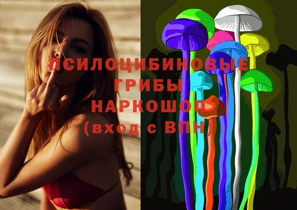 мет Ладушкин