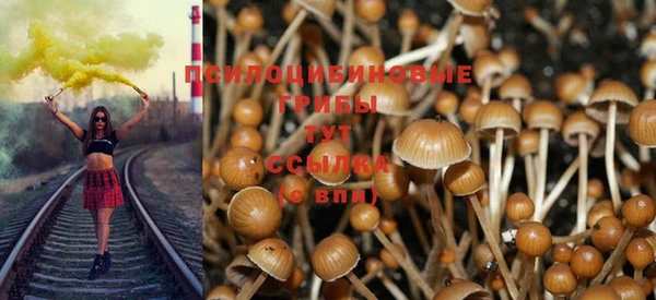 дживик Лагань