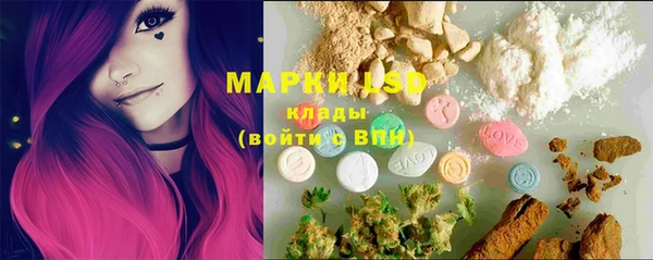 ГАЛЛЮЦИНОГЕННЫЕ ГРИБЫ Лабытнанги