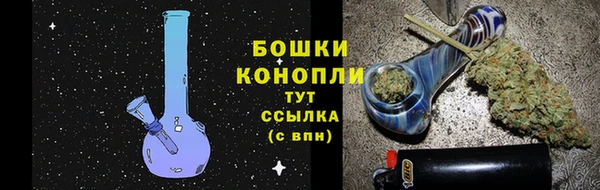дживик Лагань