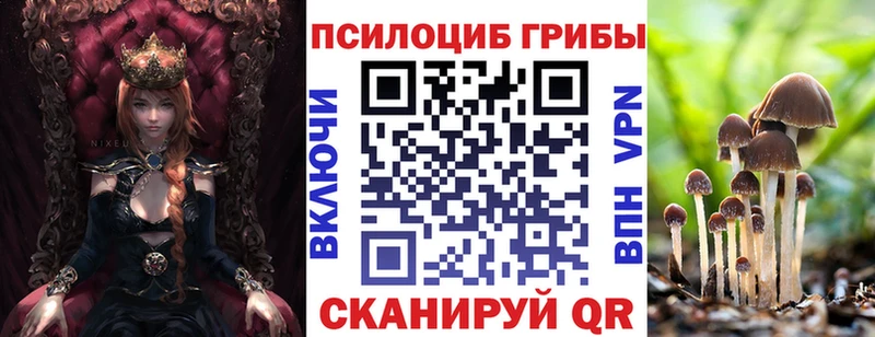 darknet формула  Балаково  Псилоцибиновые грибы прущие грибы 