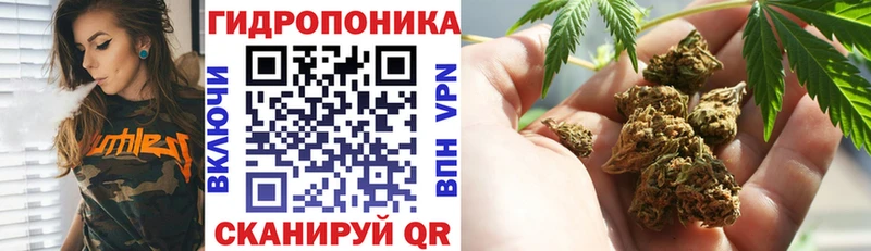 Каннабис семена  купить наркоту  Балаково 